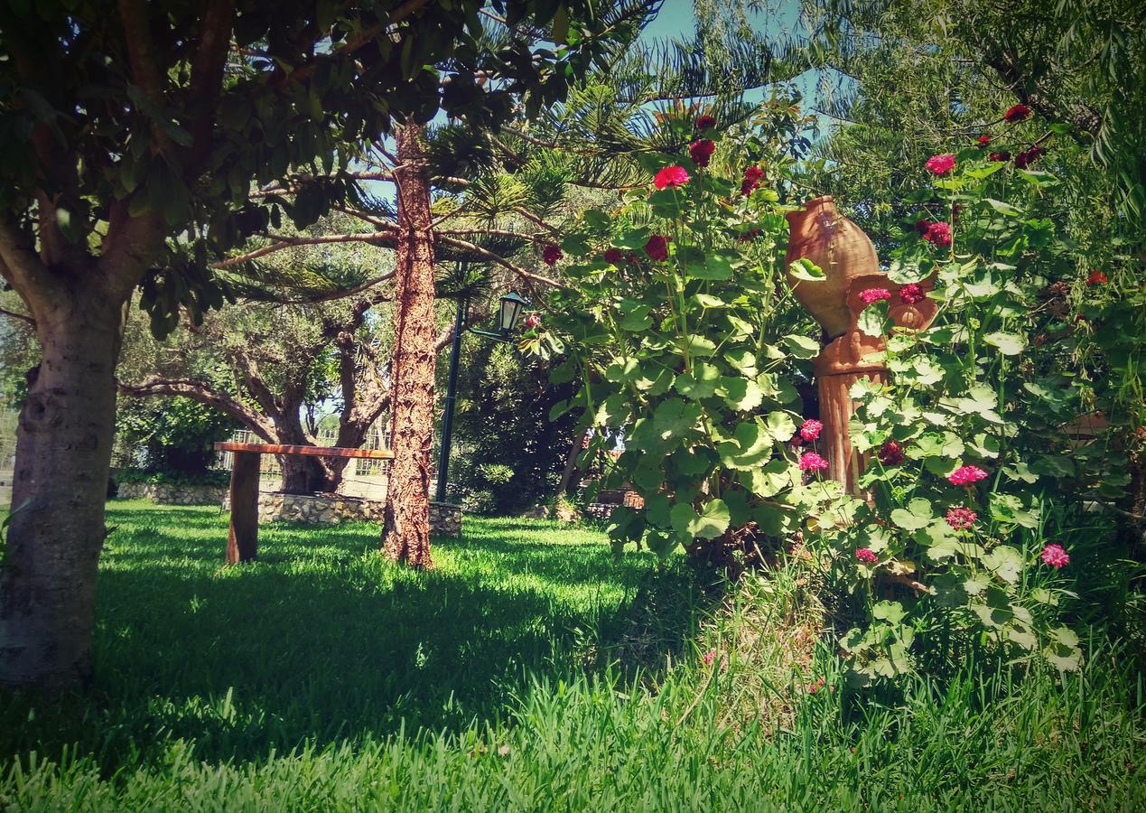 Theocharis Paradise Γλύφα Εξωτερικό φωτογραφία